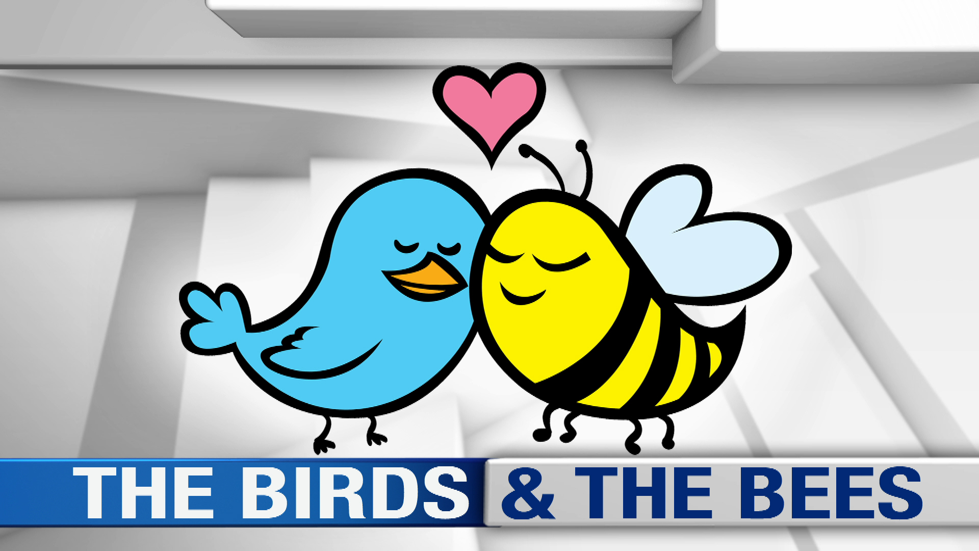 Who should teach your kids the birds and the bees? - Sue Atkins The  Parenting Coach
