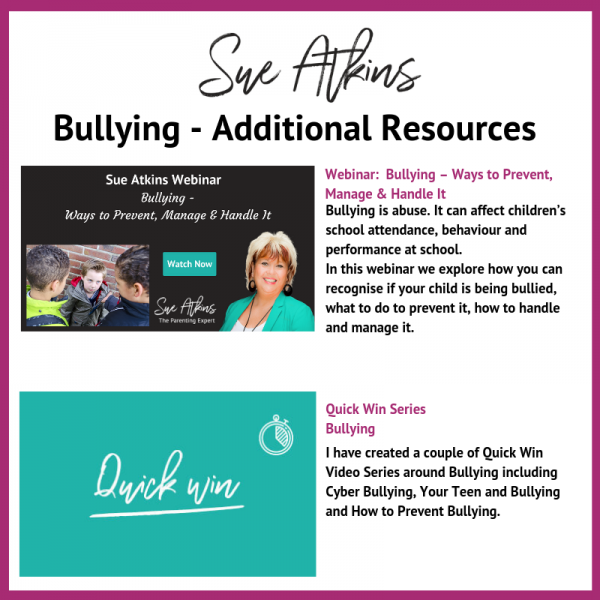 The Sue Atkins Bullying Diary Sue Atkins The Parenting Coach